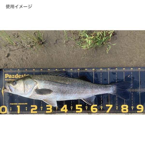 Paz Design Protect Major 120 Type II (PROTECT MAJOR 120 II) 120cm WhiteBlue PAC-316