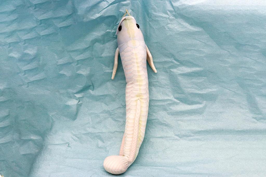 Take Off Silver Arowana Realistic Cute Fish Series
