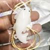 Color Changing Koi Pendant UV-Activated Color-Changing Grilled Fish Car Rearview Mirror Hanging Decor Lucky Keychain Pendant