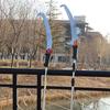 Telescopic Pruning Saw with Sickle & Dual Hooks for High-Altitude Tree & Branch Cutting