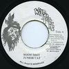 7inch Record JUNIOR CAT  Boom Shot NONE Wild Apache Jamaica Reggae Ska  Dub Used