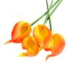 Künstlicher PU Mini Calla Lilienstrauß für Hochzeit und Heimdekoration