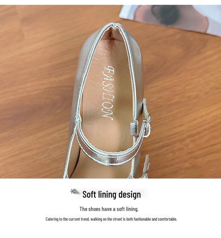 Silver Chunky Heel Mary Jane Ballet Flats for Women - Spring 2025 Collection