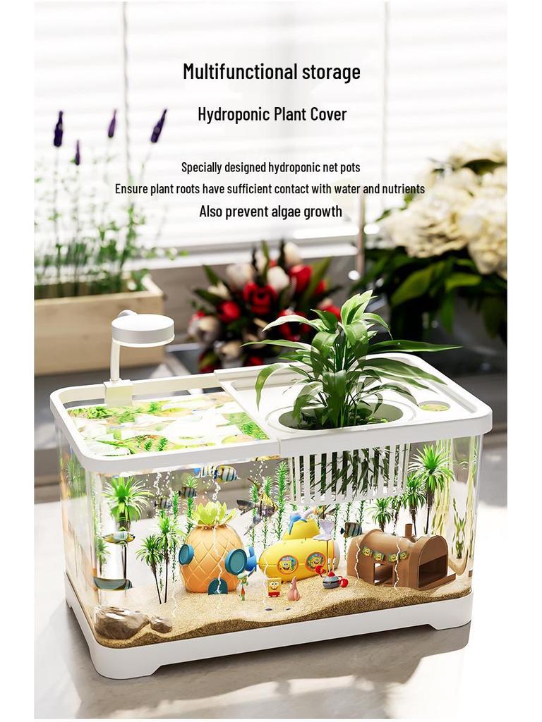 Acvariu cu Capac - Acvariu Transparent de Birou pentru Pești Aurii și Broaște Țestoase, Perfect pentru Decorul Casei sau al Camerei de Zi.