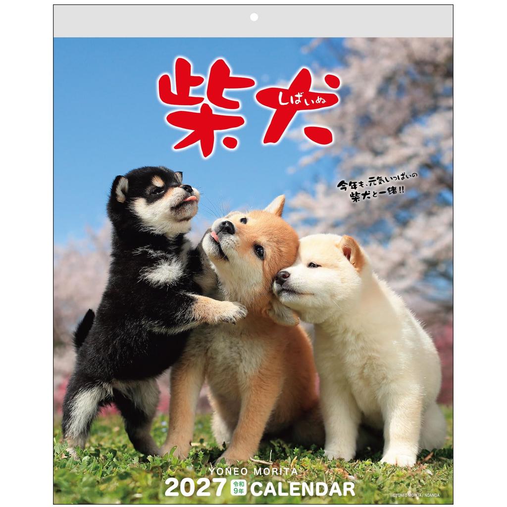 Active Corporation 2027 Calendar Wall Hanging Mori Taibei Marugoto Shiba Inu 27ACL-11 Starts January