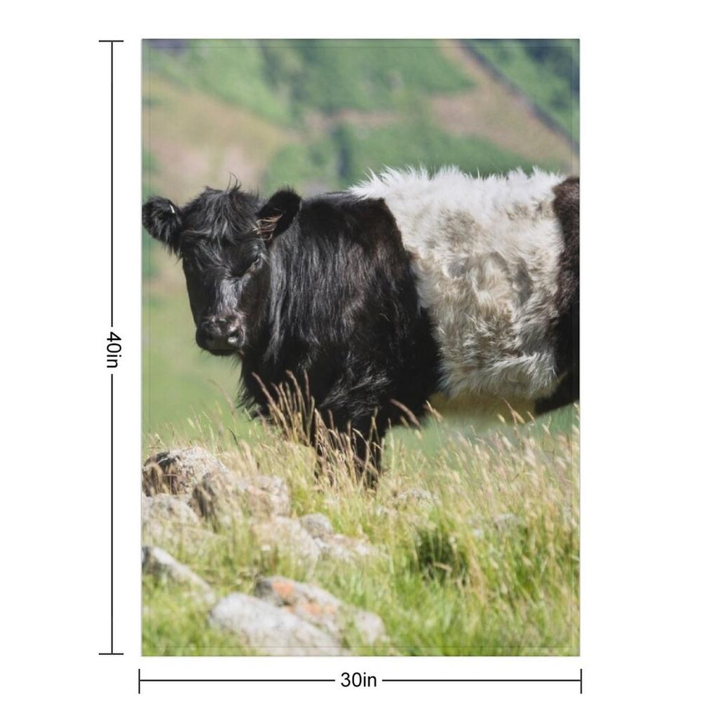 Belted Galloway Cow Throw Blanket Fashion Sofas Soft Big Extra Large Throw Decorative Blankets