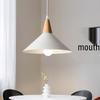 OEING Single Head Pendant Light