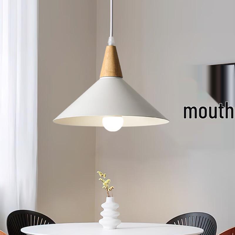 OEING Single Head Pendant Light