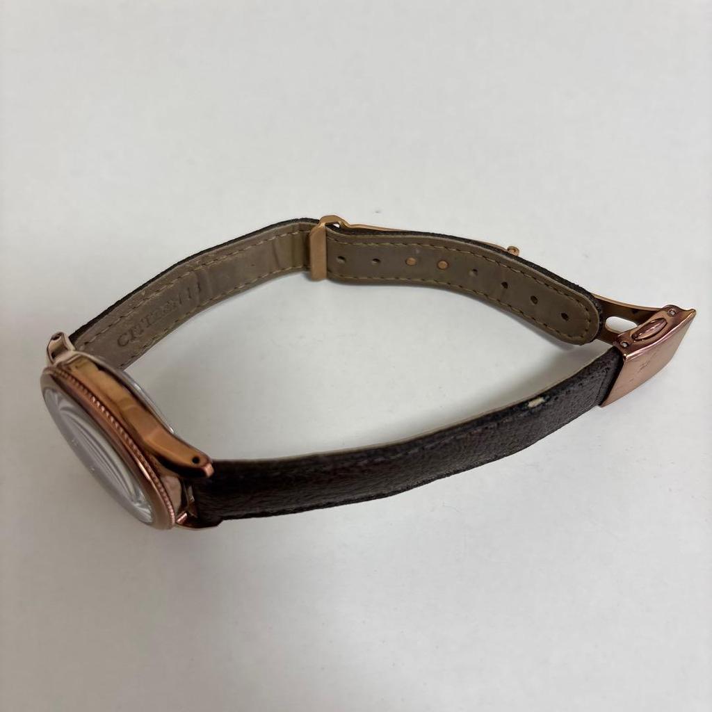 Used CITIZEN Women's EE1002-01W Red Brown