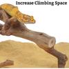 VCEPJH Snake Climbing Branch, 2Pcs Reptile Wood Natural Cork Log Tank Accessories Tree Trunk for Chameleon Bearded Dragon Gecko Snake Frog Spider