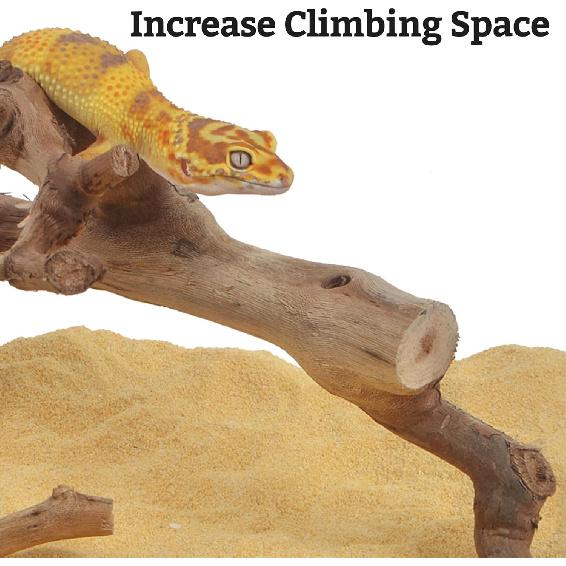 VCEPJH Snake Climbing Branch, 2Pcs Reptile Wood Natural Cork Log Tank Accessories Tree Trunk for Chameleon Bearded Dragon Gecko Snake Frog Spider