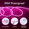 10M/32.8FT LED Neon Strip Light 24V Silicone Indoor Outdoor 120LEDs/m IP67 Waterproof Cuttable Flexible for Bar Home TV Wedding