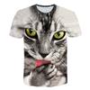 2024 Men/woman High Quality Brand T-shirt Hombre New Men T-shirt Casual Short Sleeve O-neck Fashion Funny Cat Printed 3D T Shirt