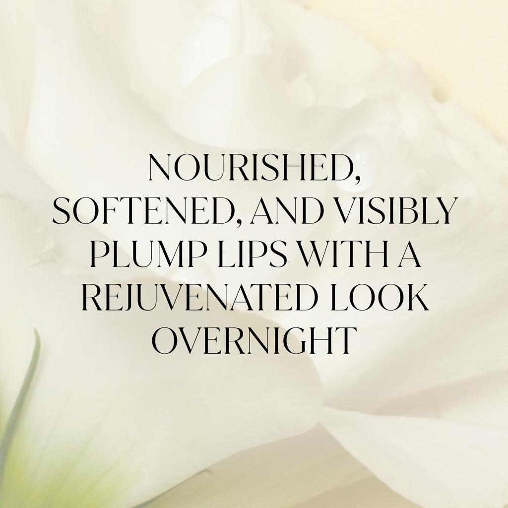 FEMMUE Lip Sleeping Mask VS Lip Authentic Japanese Product Month (Vita Shield) 15g, Care, Moisturizing, Hydrating, Plant-Based, (Approx. 3-4 Supply)