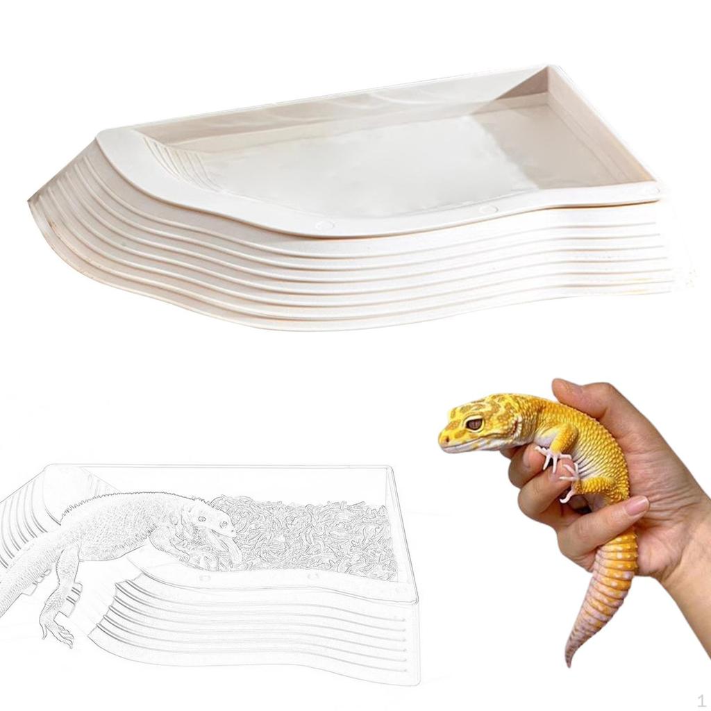 Reptile Bathing Pool Bowl Aquarium Ornament Feeding Dish Tortoise for