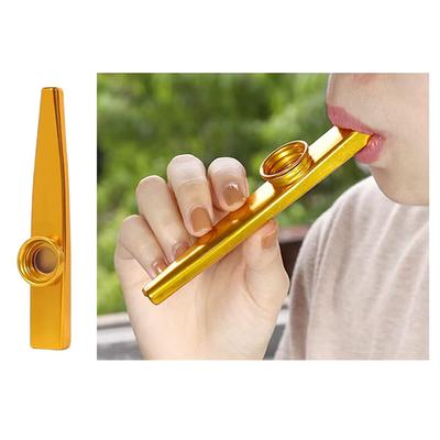 Mini Harmonica and Kazoo Set Party Favors 10 Hole Diatonic Harmonica with Case Festival Concert Gathering Gifts for Guests TMZ
