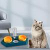 Dog Bowls Drink Fountain Cat Food Dishes Pet Feeding Station Detachable Non Slip Automatic