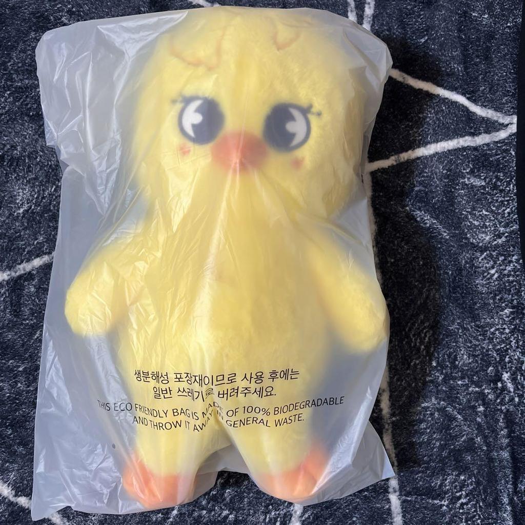 [USED] straykids Pogarri Teddy Bear TEDDYBEAR