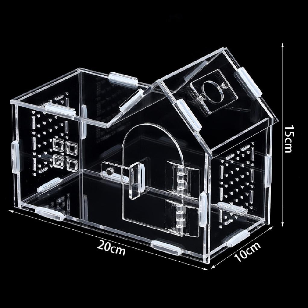 Reptile Terrarium Acrylic Portable Portable Small Reptile Breeding Box Spider Tortoise Snail Terrarium Reptiles Pet House Cage