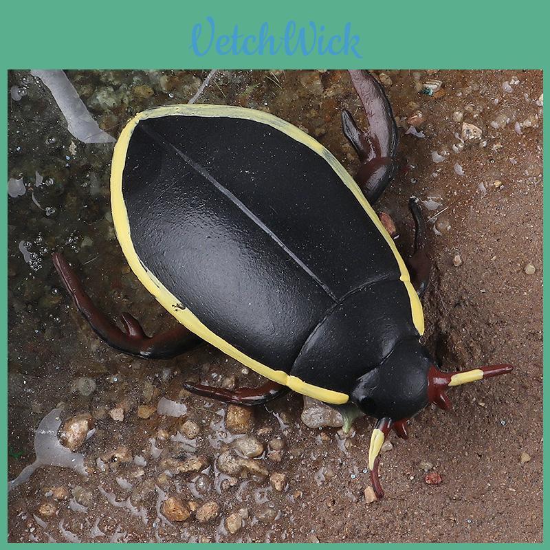 Insect Model Water Bug Toy With Plastic Material For Childrens Educational Play