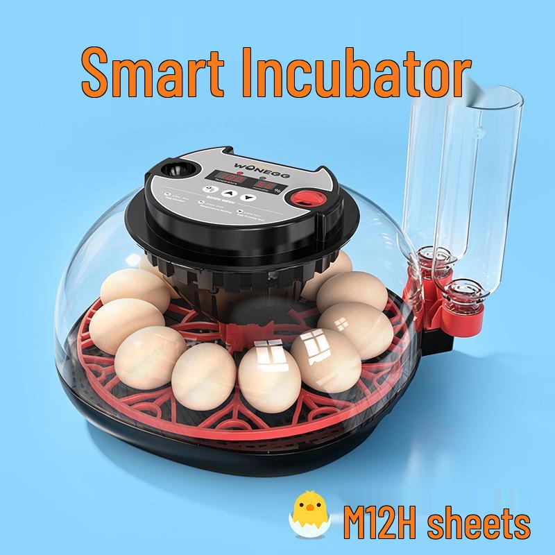 Smart Mini Egg Incubator for Parrots and Budgies: Automatic Pet Hatchery Equipment