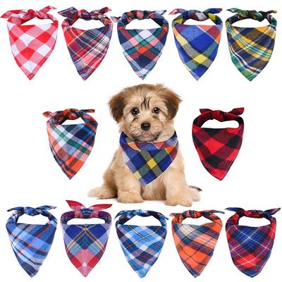Giyim ve ayakkabı – Köpek Aksesuarları
