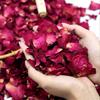 Pétalas de Rosa Vermelha Biodegradáveis (para Jogar no Casamento)  250g Pétalas Secas  Ideal para o Dia dos Namorados, Banhos, Chás de Bebê, Fabricação de Sabonetes e Velas