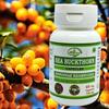 Morsan Nutraveda Sea Buckthorn (Hippophae Rhamnoides) Extract Capsule | 60 X 500 Mg Veg Capsules | Promotes Skin Wellness | Natural Vegan Formula
