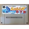 Used Fishing Koushien SFC SNES Super Famicom SHVC-AQJJ Tested Working Nintendo Sports King Records NTSC-J Super Nintendo Cartridge