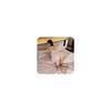 Sexy Lingerie Dress for Deep Open Exposed Exposed Bare Sexy Adult Cosplay Adult Goods [Mimaru] Women, Extreme, Perverted, SM, V-Neck, See-Through,