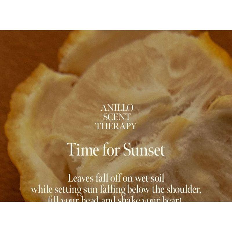 anillo Amber 528 Scented Hand & Body Wash