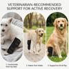 Breathable Texture Dog Leg Recovery Sleeve Dog Front Leg Support Brace  Injury Support