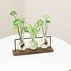 Terrarium Creative Hydroponic Plant Transparent Vase, Wooden Frame, Glass Tabletop, Bonsai Decor, Flower Vase