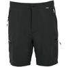 Шорты Regatta Leesville III Wanderhose Серый