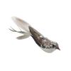 Cat Simulation Bird Lengthening Steel Wire Rod Feather Funny Cat Rod Toy Long Tail