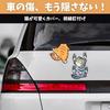 SESHIS Cat Sticker Car Decal Funny Sticker Car Sticker Set of 3 Medium