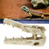 Resin Skull Aquarium Decorations for Fish for Tank Simulation Skeleton Cave Ornament Hideout for Shrimp Fish