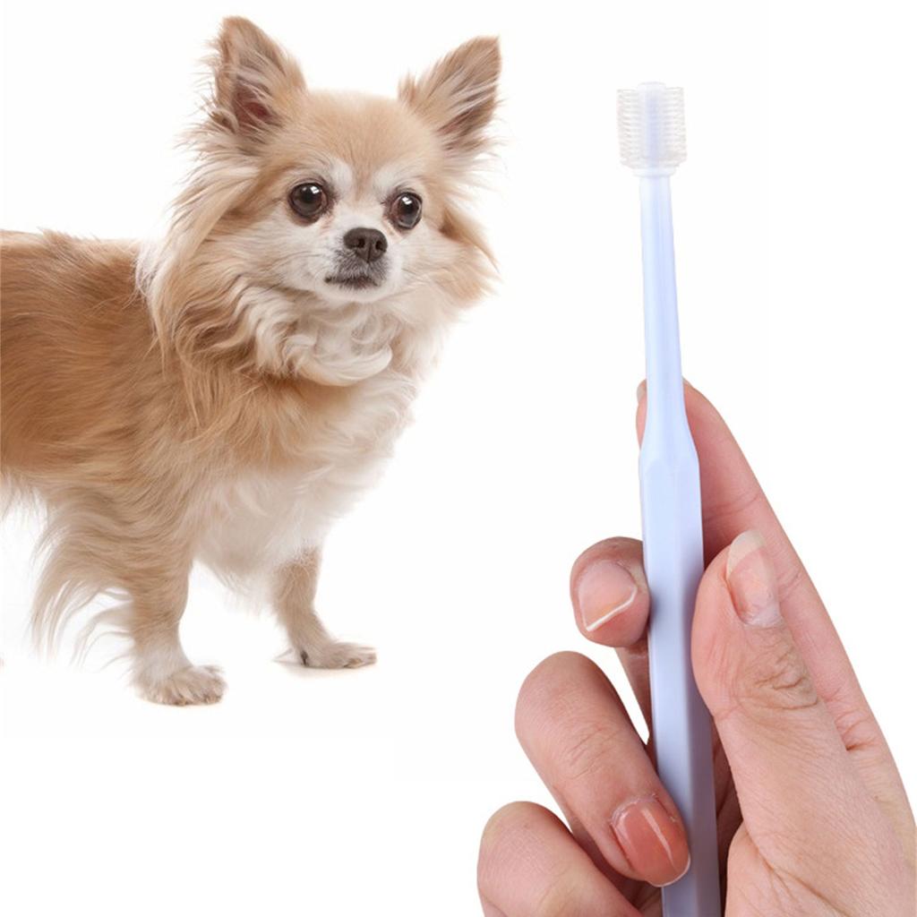 360-Grad-Zahnbürste für Hunde und Katzen Haustier-Zahnbürste Trainingszahnbürste Weiche Borsten Zahnpflege Haustierpflegeprodukt
