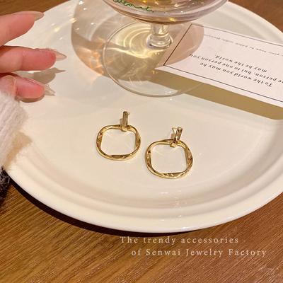 Hong Kong Style Irregular Circle Earrings Women's Versatile Temperament Geometric Metal Stud Earrings Cold Wind Ears