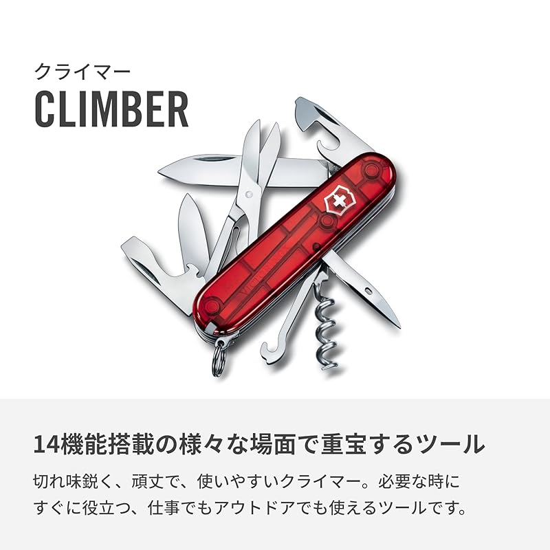 VICTORINOX Cyber Traveler T (1.3703.T)