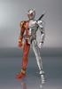 SHFiguarts Kamen Rider W (Doppelt) Metall erhitzen