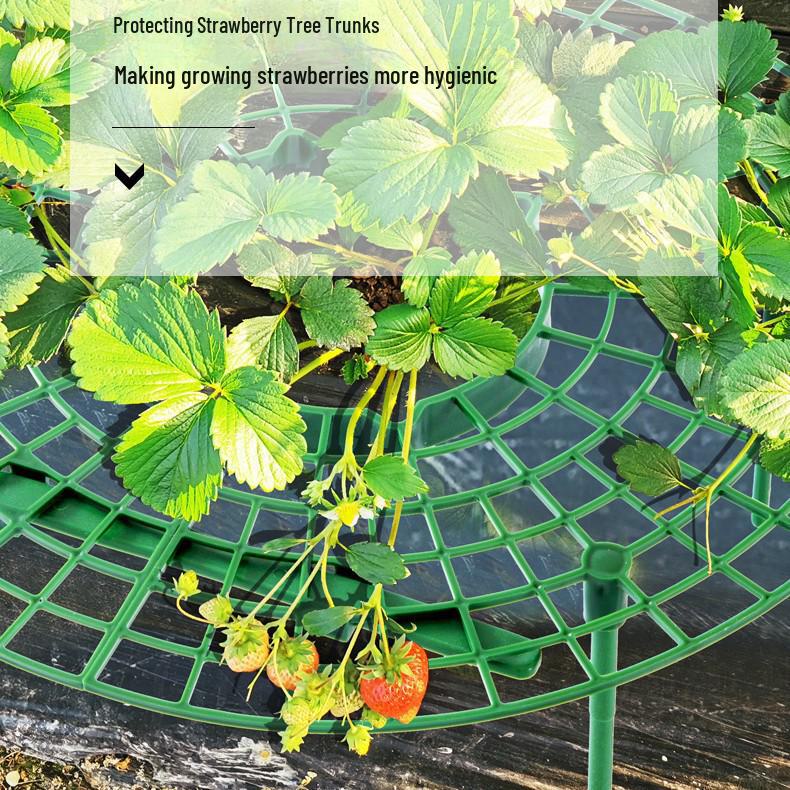 Cross-Border Strawberry & Vegetable Planting Rack - Balcony Climbing Support for Plants