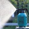 2L Manual Air Pressure Sprayer for Gardening - Small Watering Can and Flower Sprinkler
