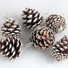 5CM Pine Cone Christmas Tree Ornaments - Natural Color with White Edges, Dried Flower Shooting Props