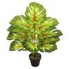 Nordic Style Variegated Monstera: Potted Plant for Home & Garden Decor