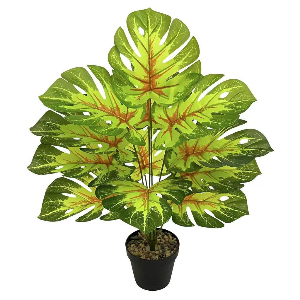 Nordic Style Variegated Monstera: Potted Plant for Home & Garden Decor