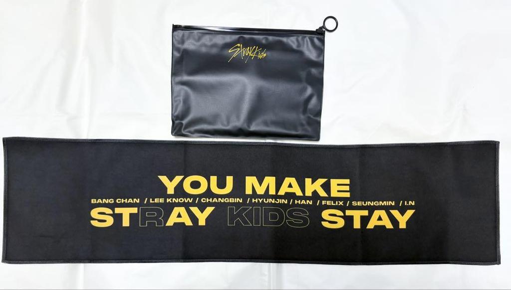 [USED] Stray Kids Unlock Slogan