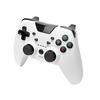 wireless controller for nintendo switch "wireless symmetry pad prosw  white " - switch
