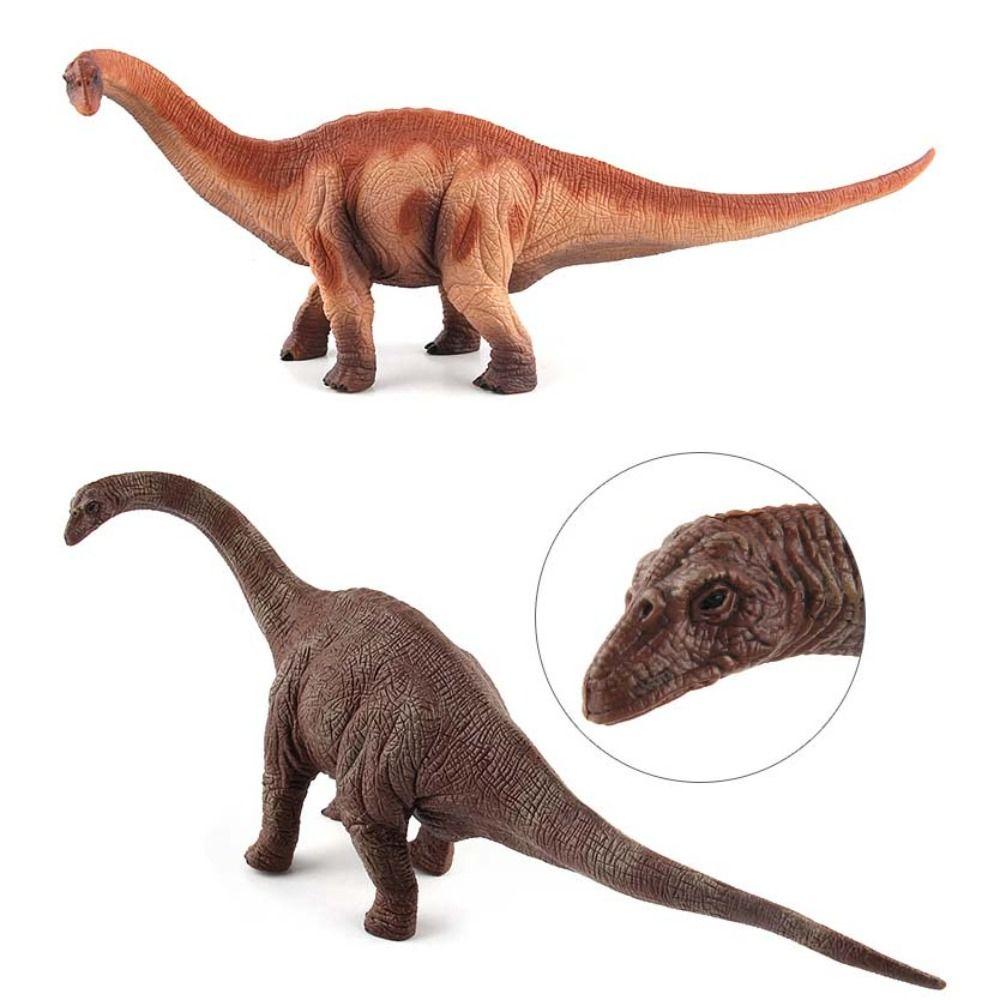 Apatosaurus Dinosaur Model Herbivorous Jurassic Dinosaur Dinosaur Action Figures  For Children