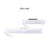 Student Transparent Retractable Pen & Brush Holder - Portable Study Art Stationery Supplies